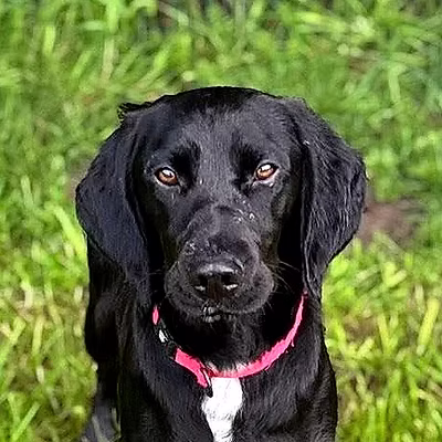 Lenny