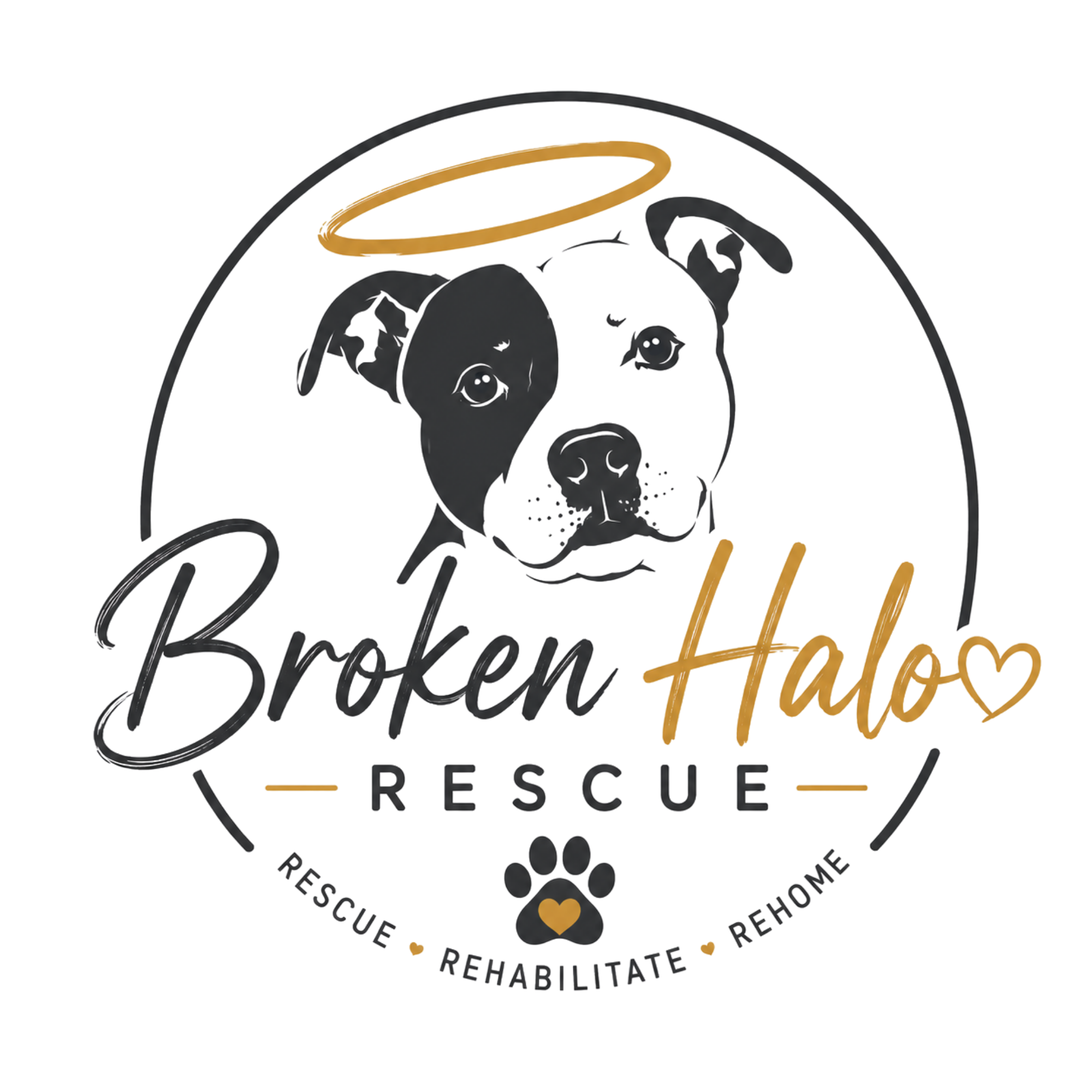 Broken Halo Rescue logo