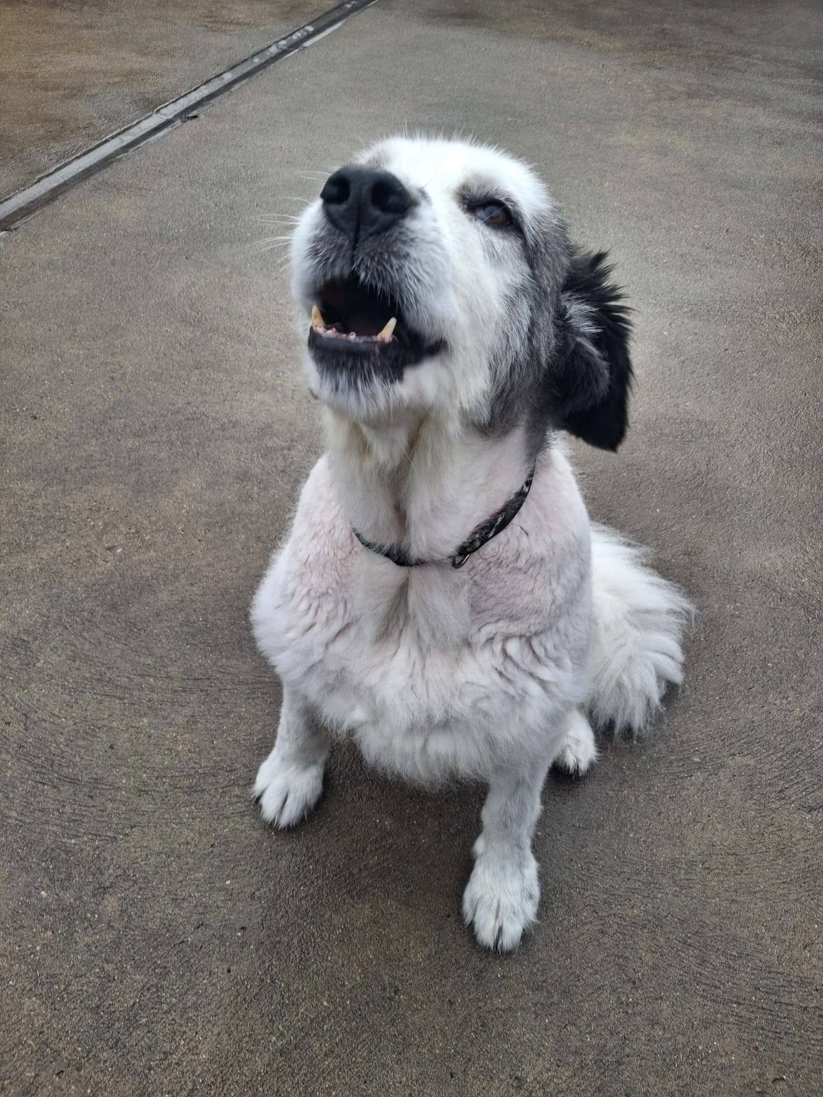 Zina standing in the garden