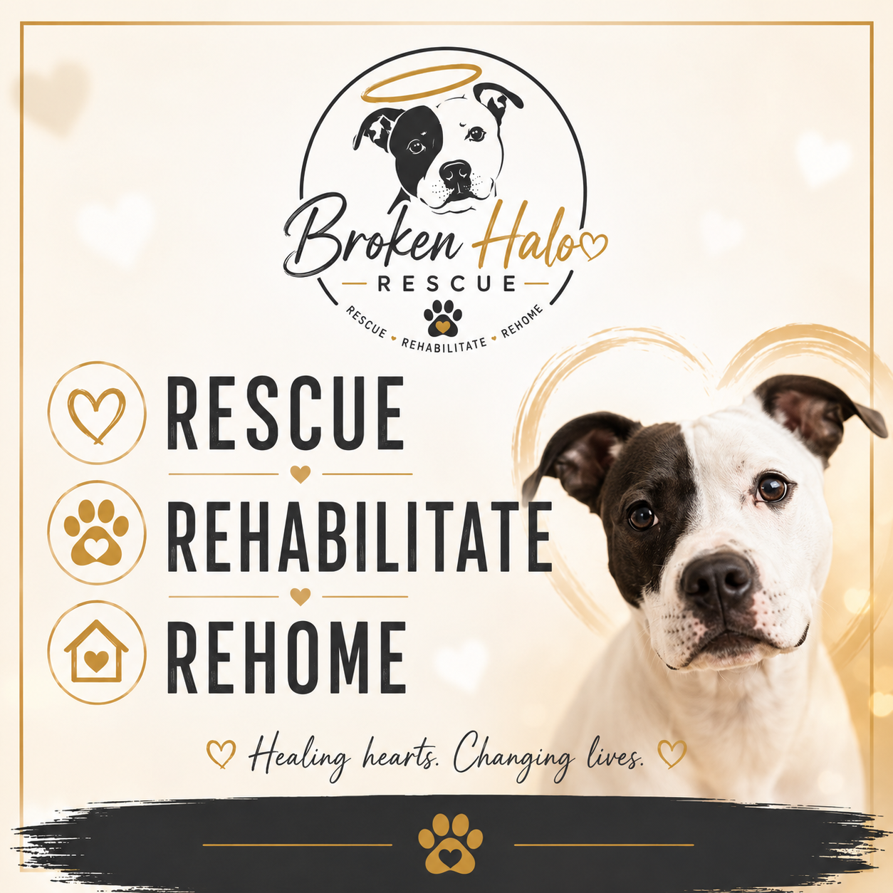 Broken Halo Rescue: rescue, rehabilitate and rehome