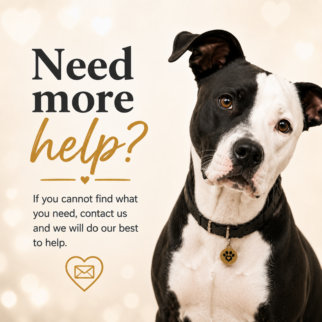 Contact Broken Halo Rescue
