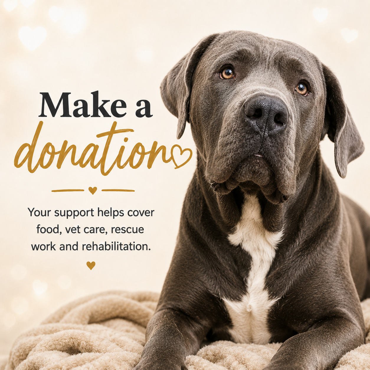 Make a donation