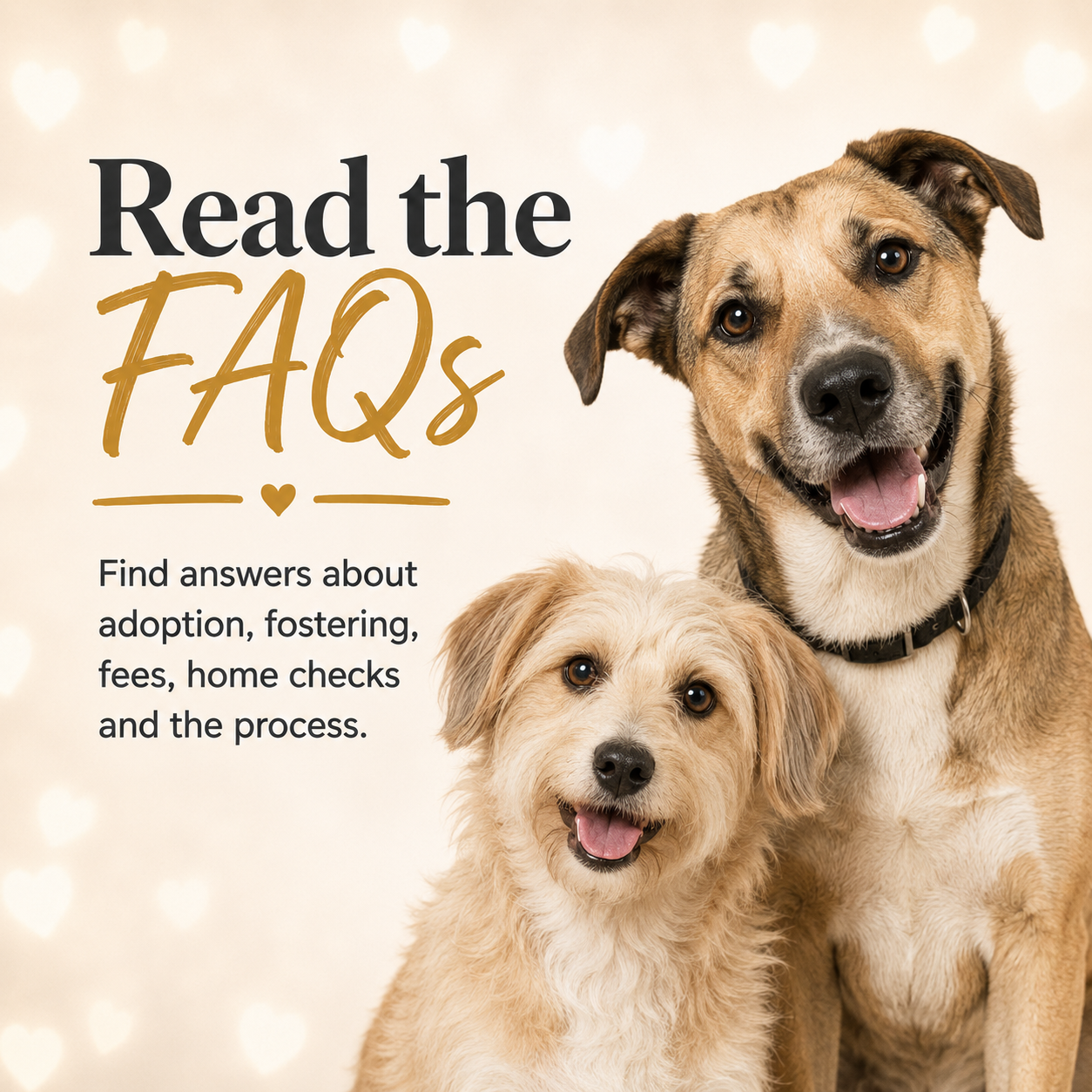 Read the FAQs