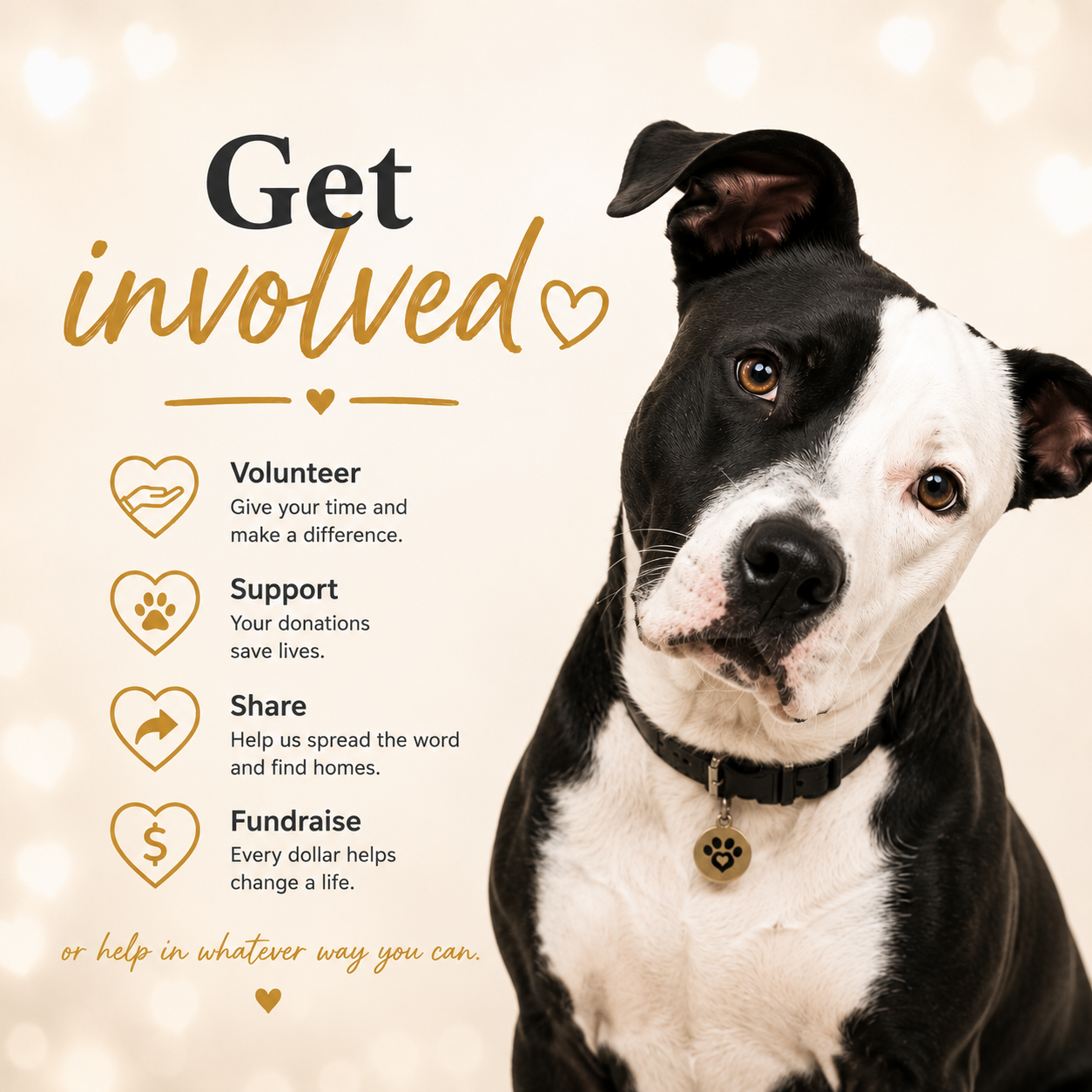 Get involved